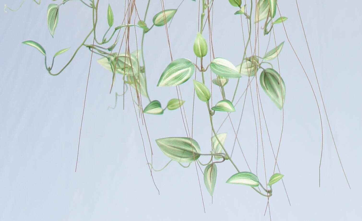 Artificial Potted Hanging Plant, 65 CM Artificial Potted Hanging Plant, 65 CM