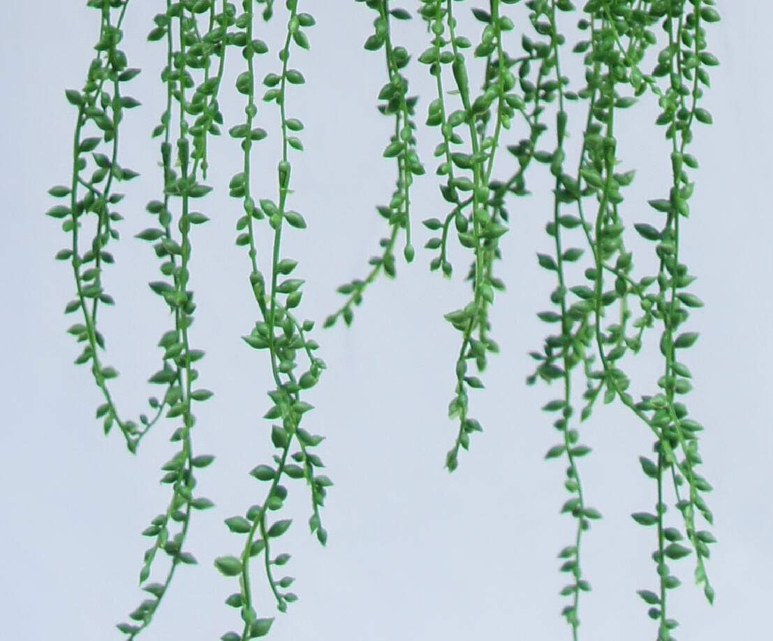 Artificial Potted New Hanging Plant, 60 CM Artificial Potted New Hanging Plant, 60 CM