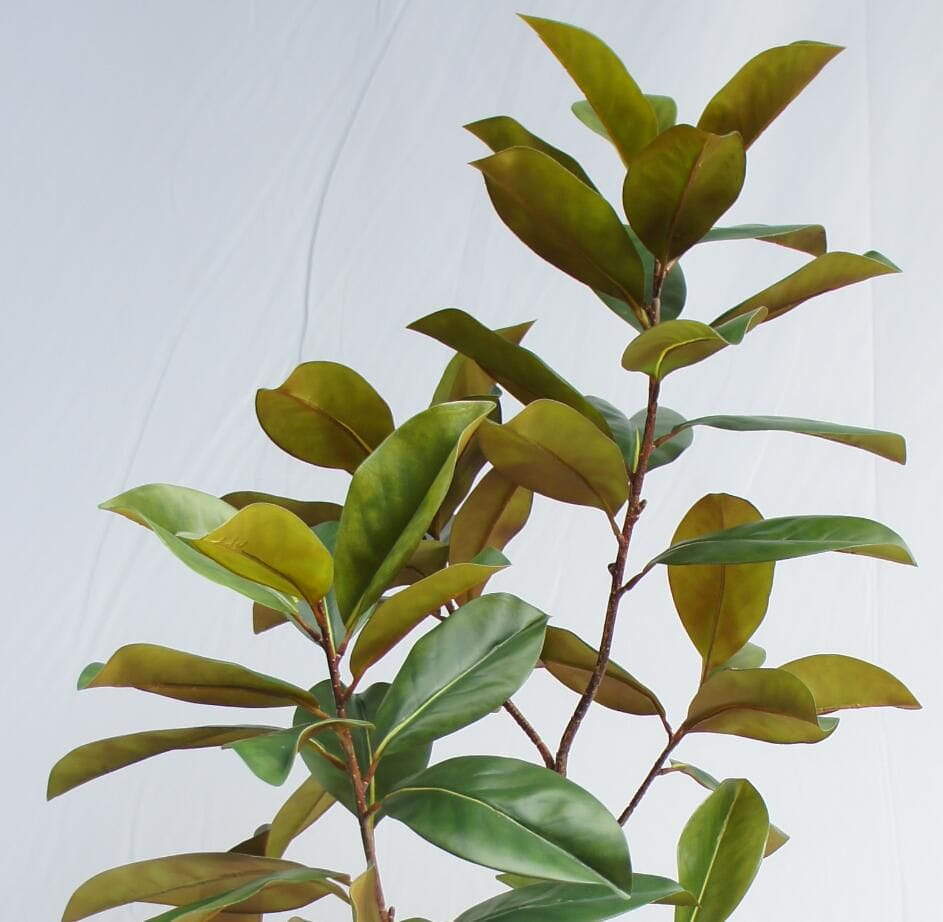 Artificial Potted New Magnolia Tree, 150 CM Artificial Potted New Magnolia Tree, 150 CM