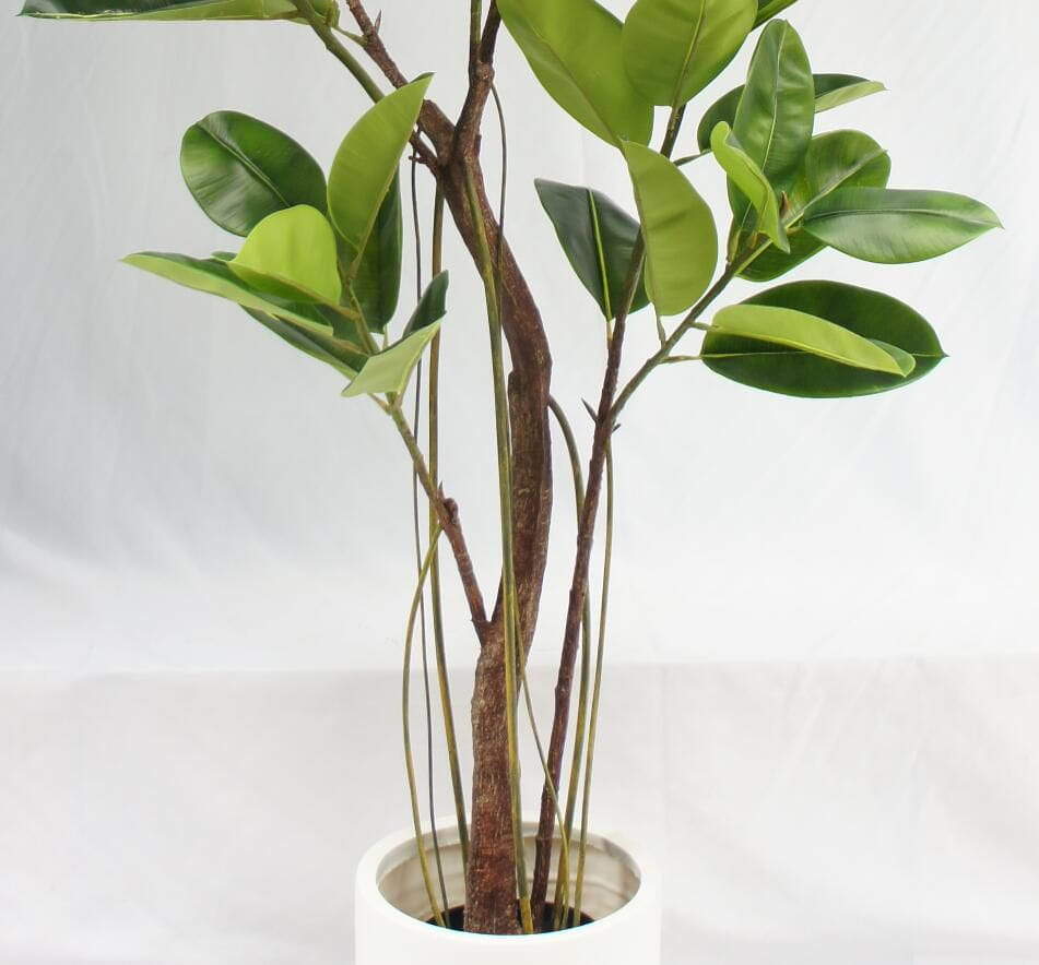 Artificial Rubber Tree Big Green Tree, 210 CM Artificial Rubber Tree Big Green Tree, 210 CM