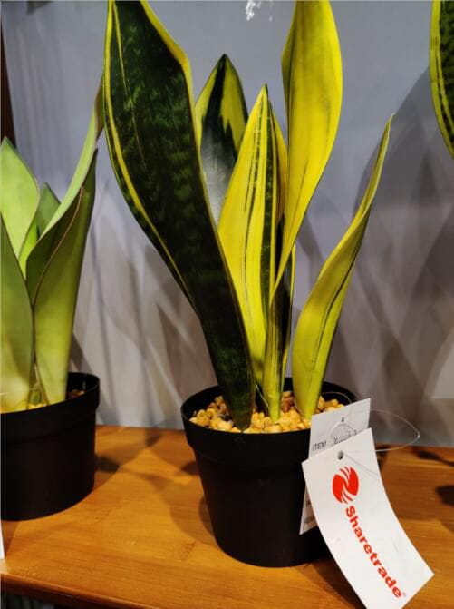 2020 Newest Artificial Snake Plant