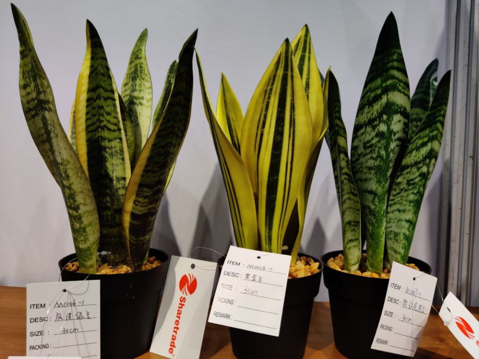 2020 Newest Artificial Snake Plant