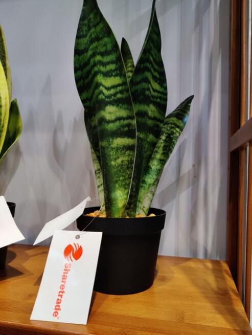 2020 Newest Artificial Snake Plant