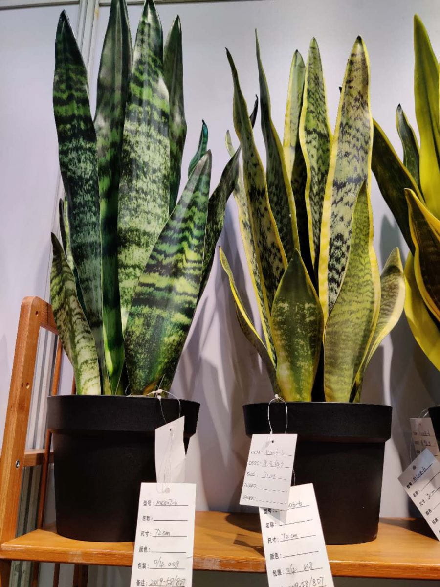 Artificial Snake Plants China Supplier