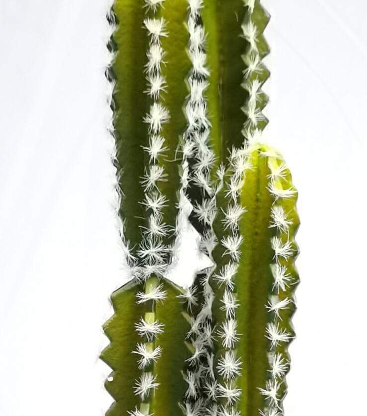 Artificial Succulents Desert Plant Artificial Succulents Desert Plant