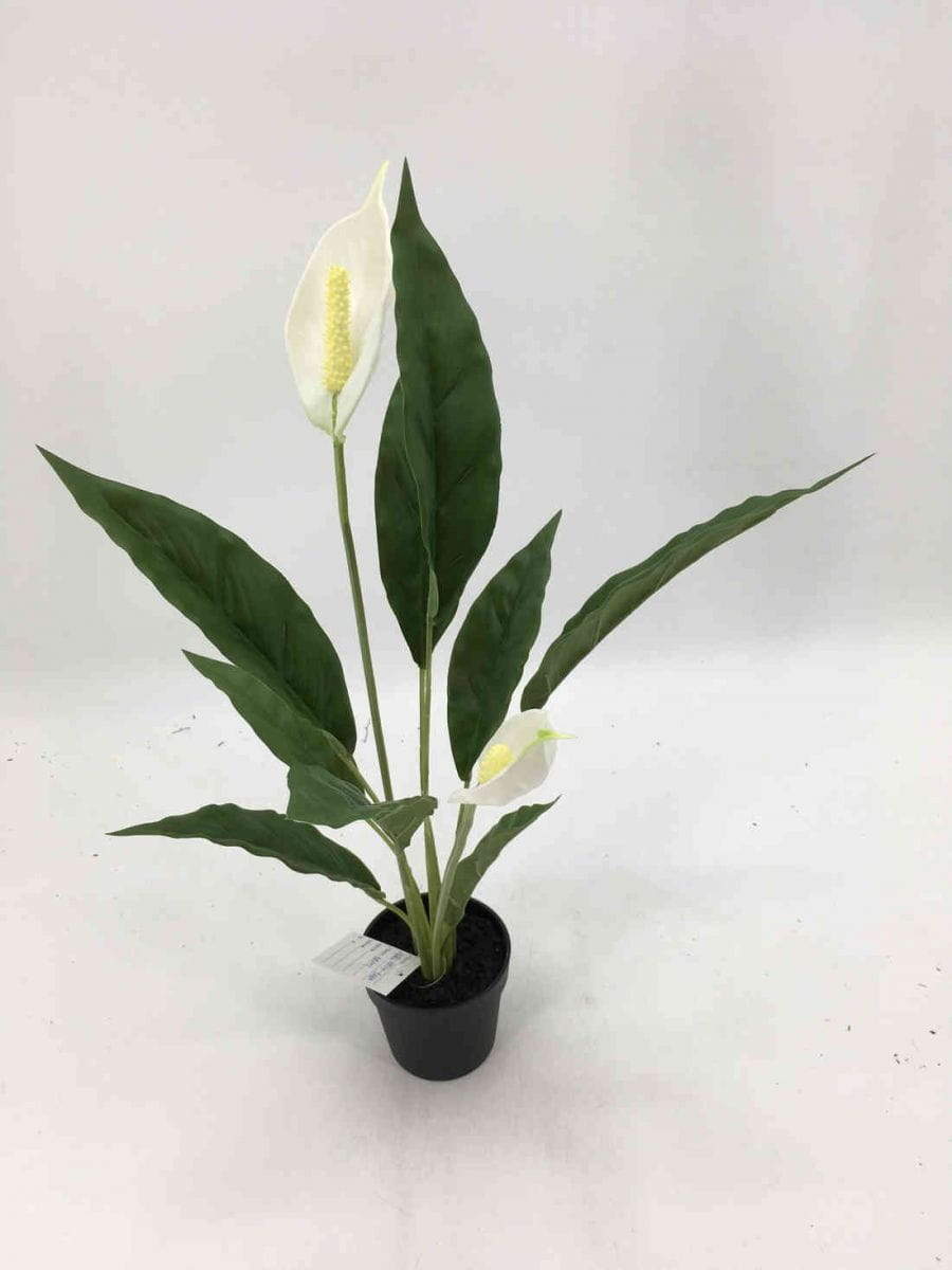 Hot Sellings - Artificial Tabletop Plants