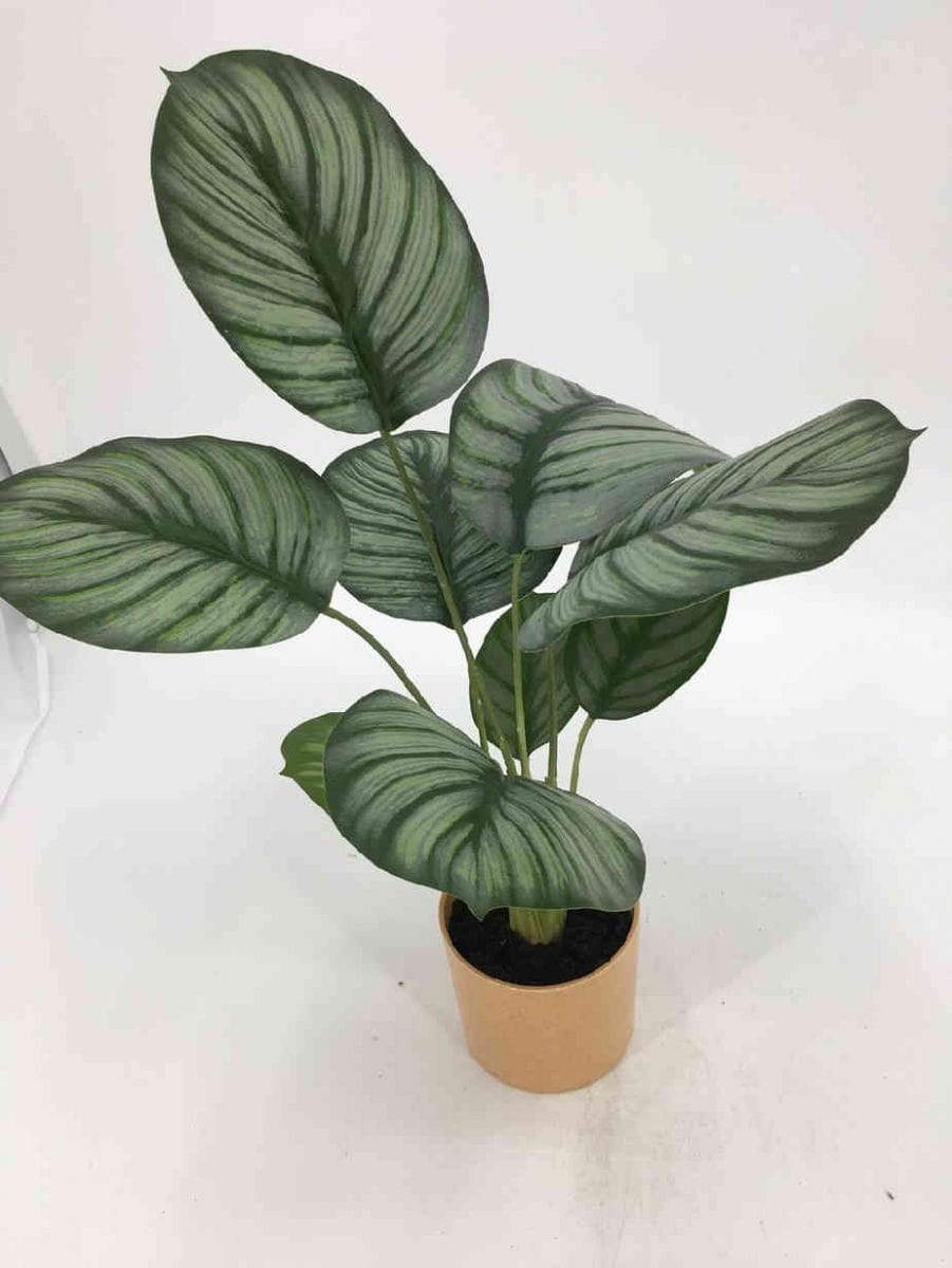 Hot Sellings - Artificial Tabletop Plants