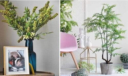 Home Decoration