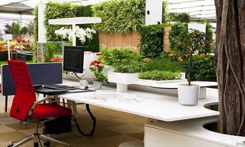 Office Decoration