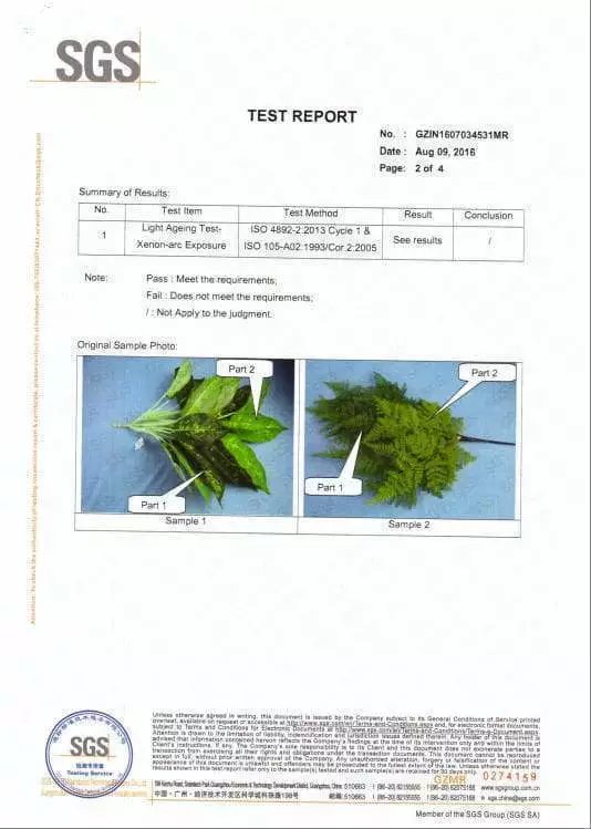 Test Report of Artificial Plants 2
