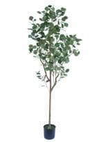 Faux Genus Eucalyptus, 180 CM