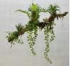Eyeful Faux Hanging Fern Plants Artificial Fern Plants, 60 CM