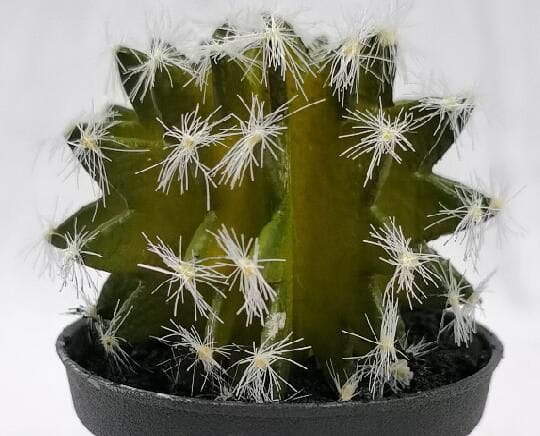 Fake Succulent Plant, 11 CM