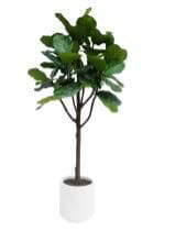 Artificial Fiddle-leaf Fig, 180 CM
