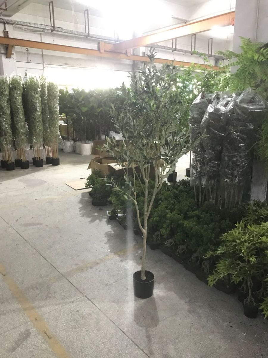 Artificial Olive Tree Potted, 180 CM Artificial Olive Tree Potted, 180 CM