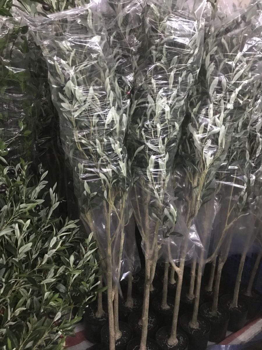 Artificial Olive Tree Potted, 180 CM Artificial Olive Tree Potted, 180 CM