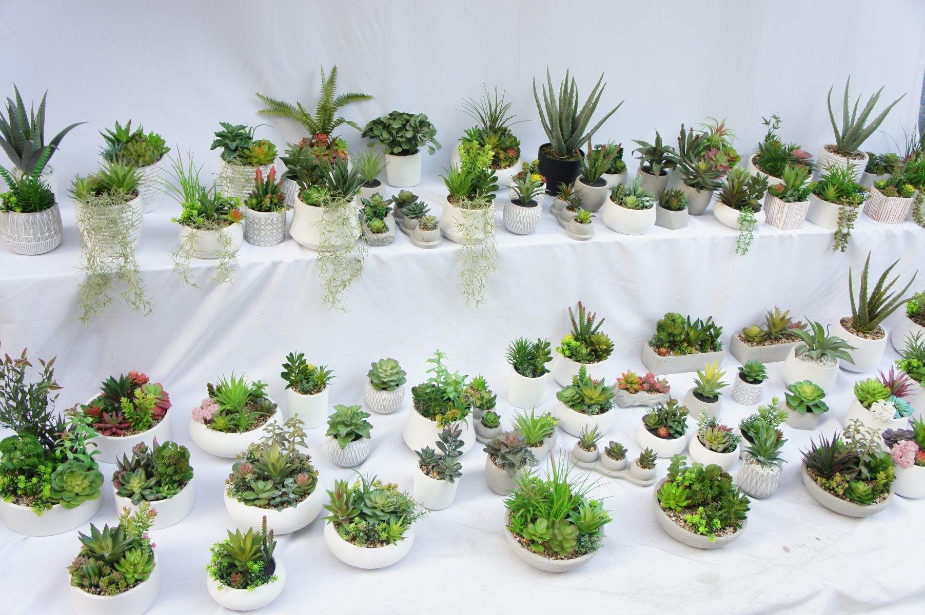 Artificial Succulents Fake Plants with Pots for Home and Office Decoration Artificial Succulents Fake Plants with Pots for Home and Office Decoration