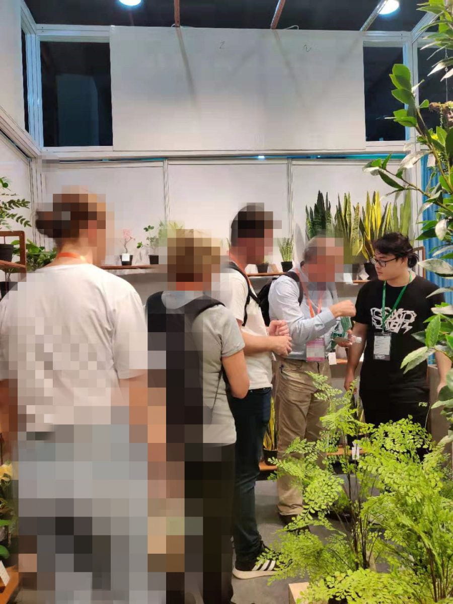 2019 CAWH Fair Guangzhou China Import and Export World Fair Sharetrade Artificial Plants
