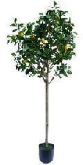 Artificial Lemon Tree, 180 CM
