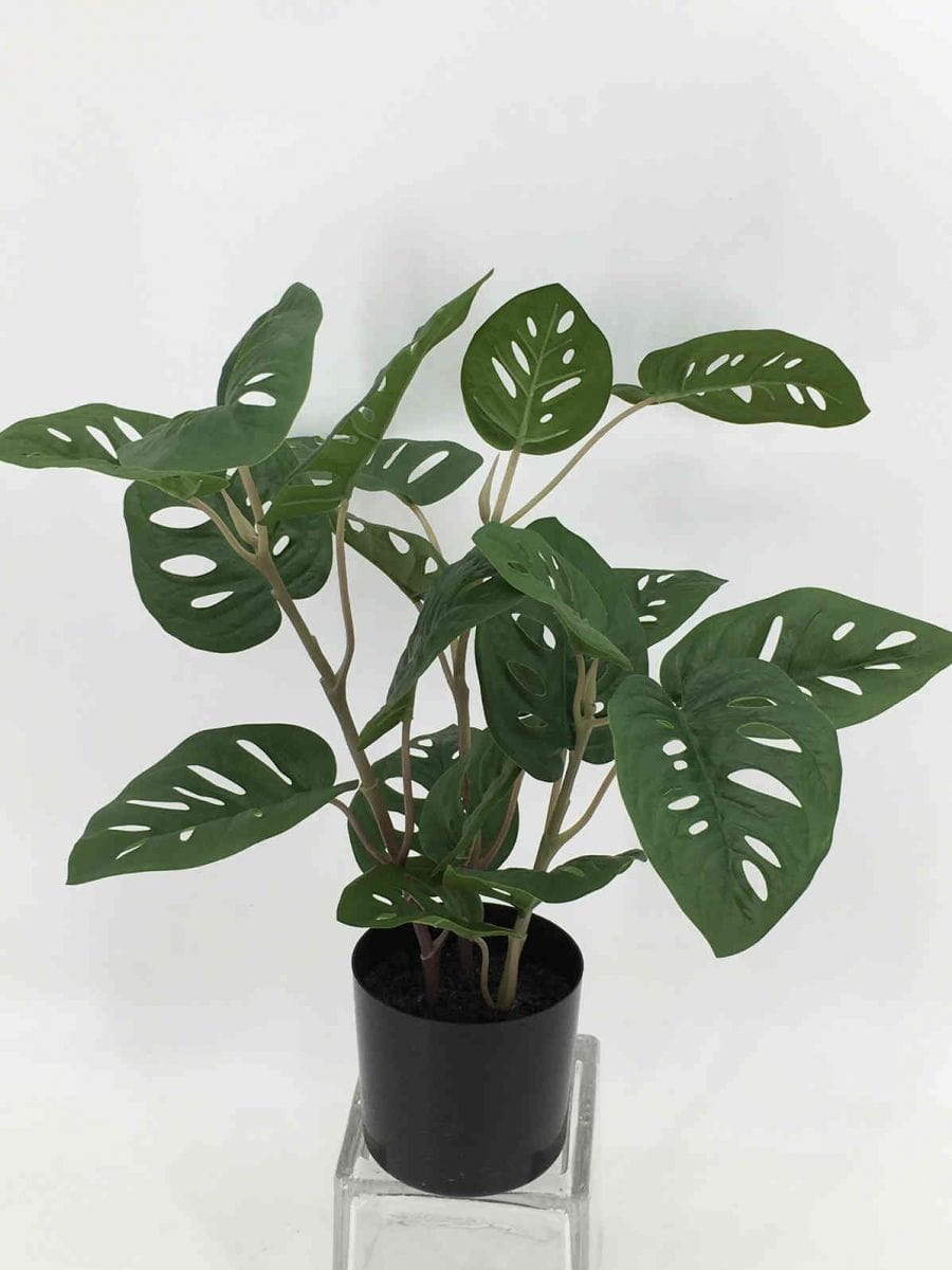 Hot Sellings - Artificial Tabletop Plants