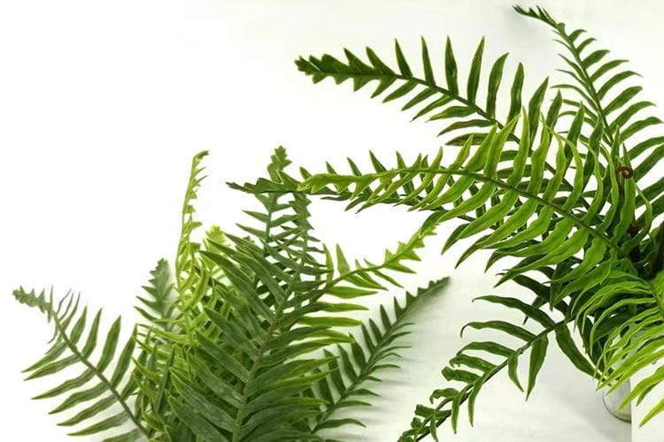 9 Leaves Artificial Dragon Boat Fern Leaf Bunches Manufacturer in China,32cm