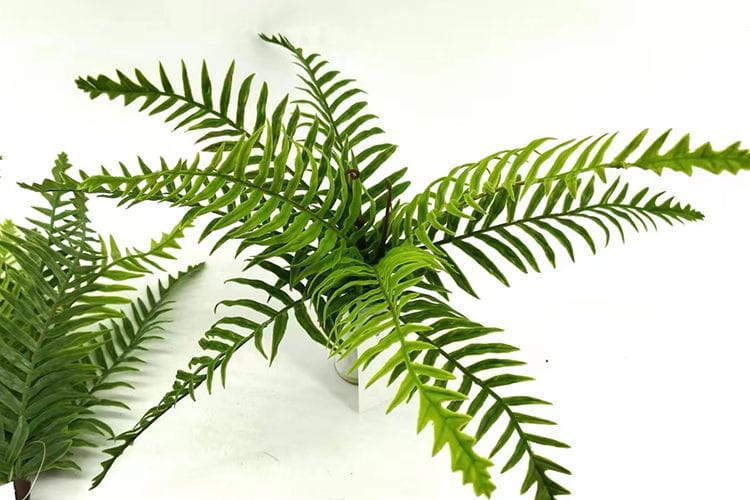 9 Leaves Artificial Dragon Boat Fern Leaf Bunches Manufacturer in China,32cm