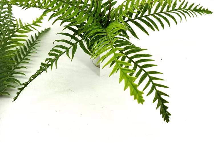 9 Leaves Artificial Dragon Boat Fern Leaf Bunches Manufacturer in China,32cm