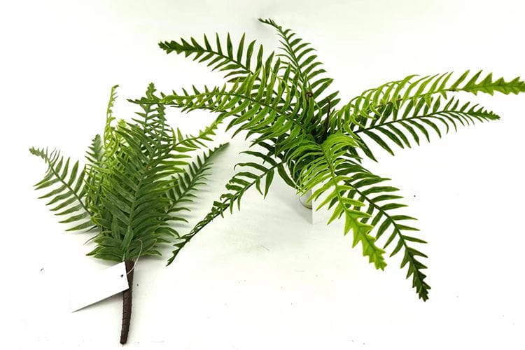 9 Leaves Artificial Dragon Boat Fern Leaf Bunches Manufacturer in China,32cm