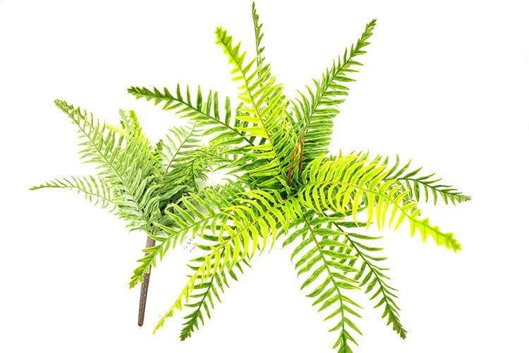 9 Leaves Artificial Dragon Boat Fern Leaf Bunches Manufacturer in China,32cm
