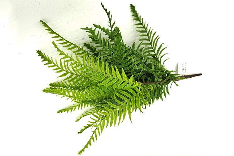 9 Leaves Artificial Dragon Boat Fern Leaf Bunches Manufacturer in China,32cm