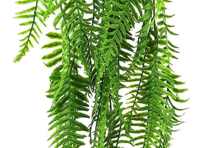 3 Branches 43 leaves Artificial Dragon Boat Hanging Rattan Ferns 80cm