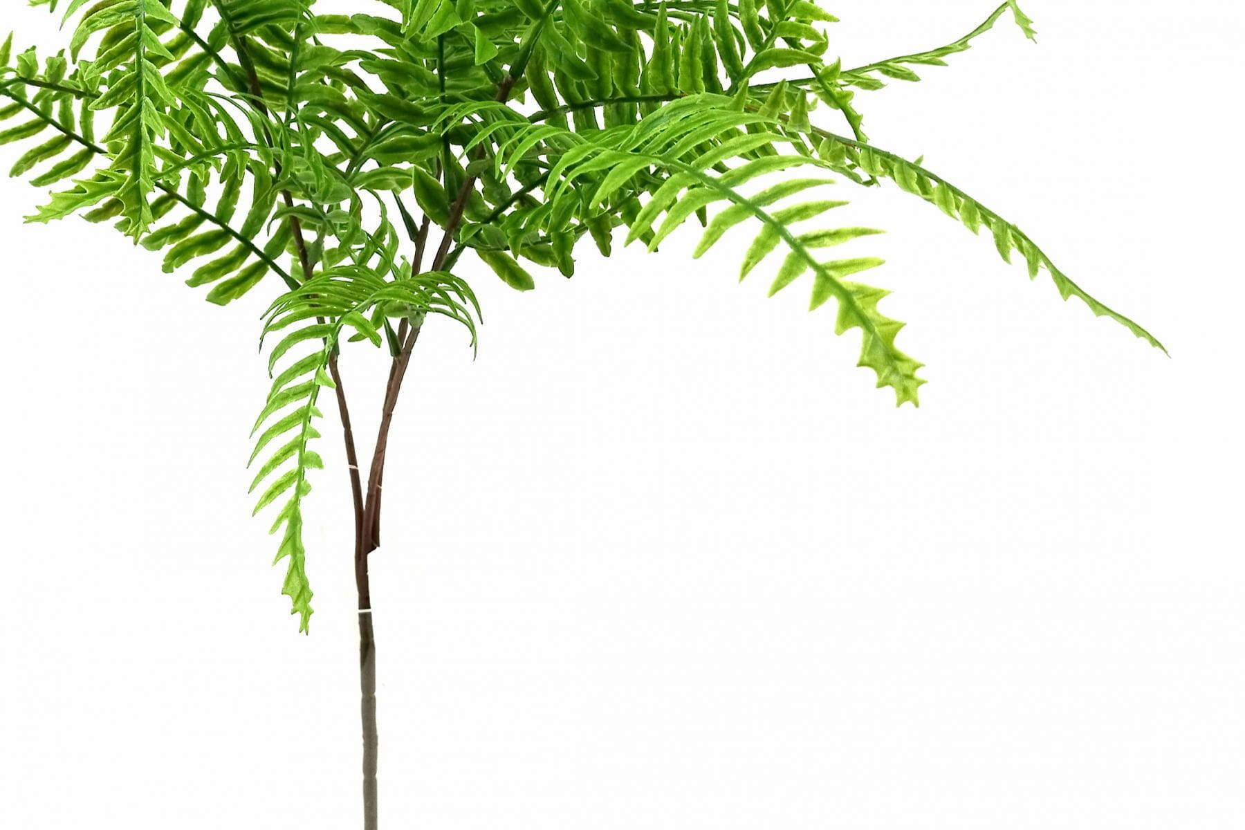 Single Branch 27 Leaves Artificial Dragon Boat Fern Leaf