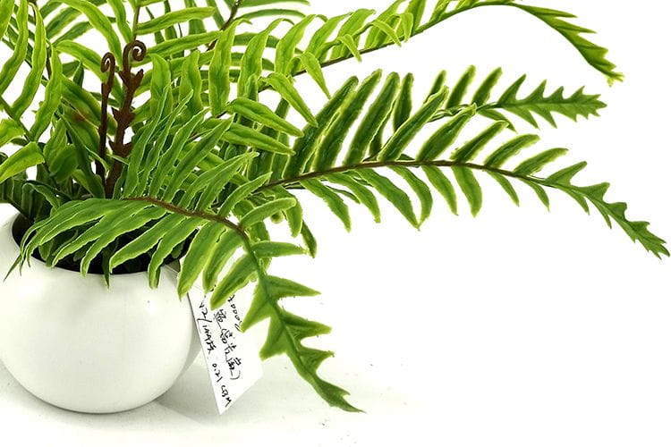 9 Leaves 28cm Artificial Dragon Boat Bonsai Ferns