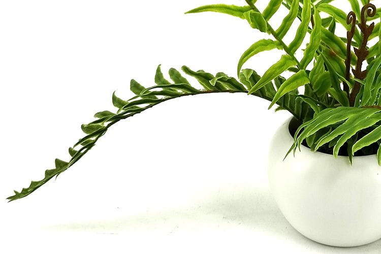 9 Leaves 28cm Artificial Dragon Boat Bonsai Ferns