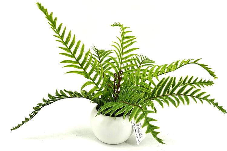 9 Leaves 28cm Artificial Dragon Boat Bonsai Ferns