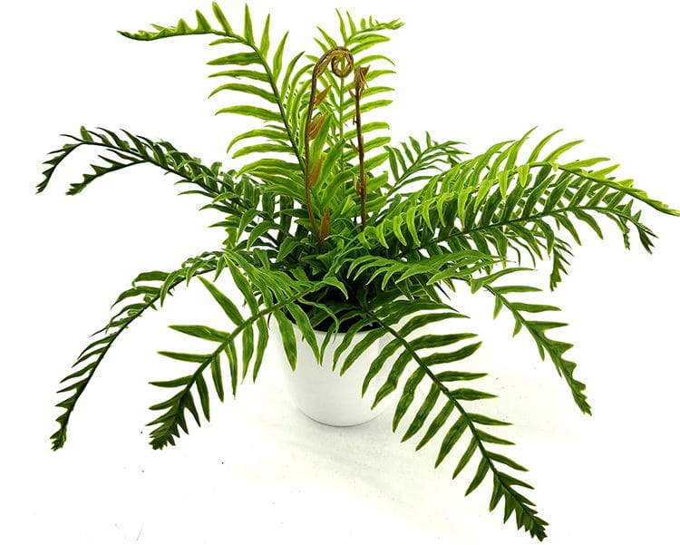 9 Leaves 28cm Artificial Dragon Boat Bonsai Ferns