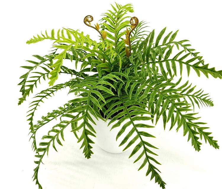 9 Leaves 28cm Artificial Dragon Boat Bonsai Ferns