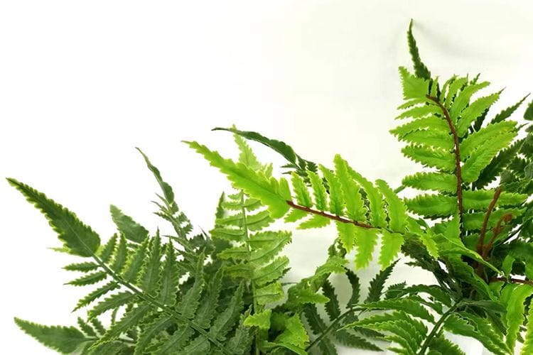9 Leaves Artificial Pteris Fern Bunches 32cm