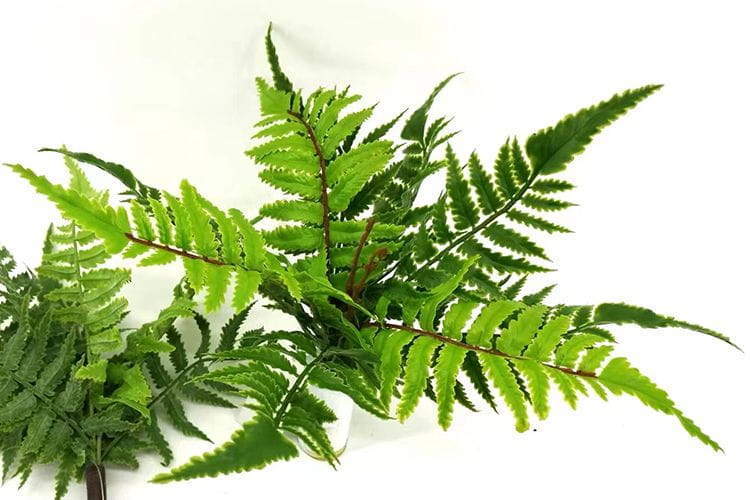 9 Leaves Artificial Pteris Fern Bunches 32cm