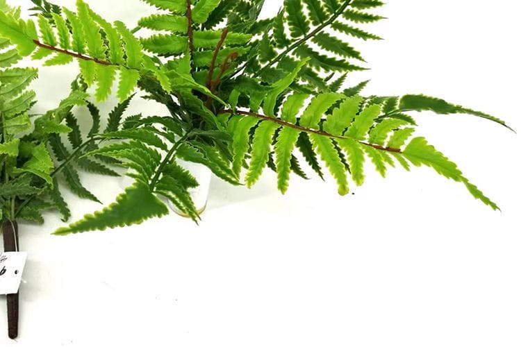 9 Leaves Artificial Pteris Fern Bunches 32cm