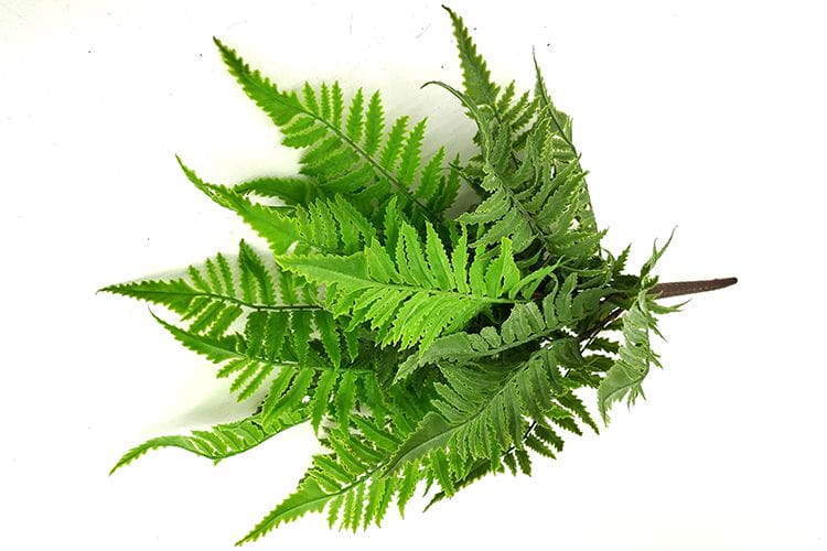 9 Leaves Artificial Pteris Fern Bunches 32cm