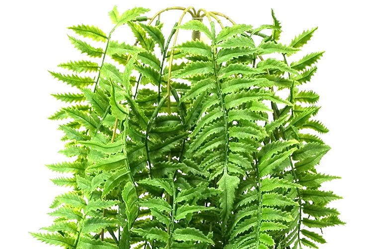 5 Branches 81 Leaves 100cm Artificial Pteris Hanging Rattan Ferns