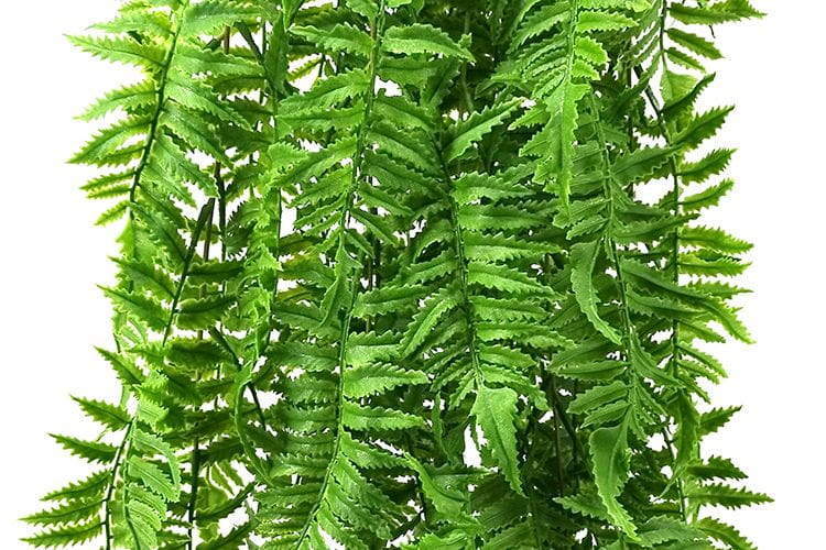 5 Branches 81 Leaves 100cm Artificial Pteris Hanging Rattan Ferns