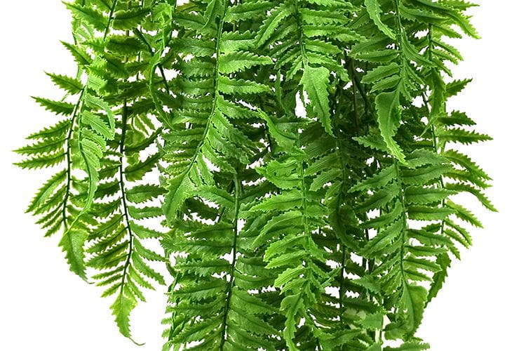 5 Branches 81 Leaves 100cm Artificial Pteris Hanging Rattan Ferns