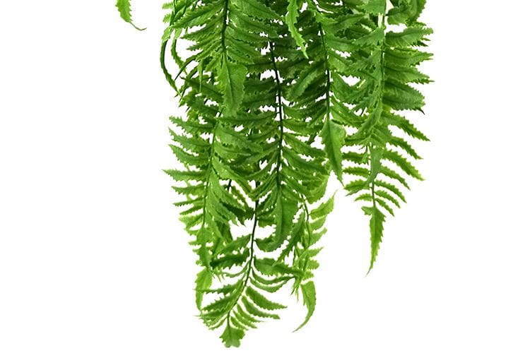 5 Branches 81 Leaves 100cm Artificial Pteris Hanging Rattan Ferns