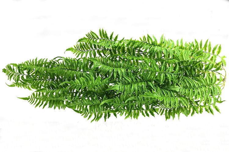 5 Branches 81 Leaves 100cm Artificial Pteris Hanging Rattan Ferns