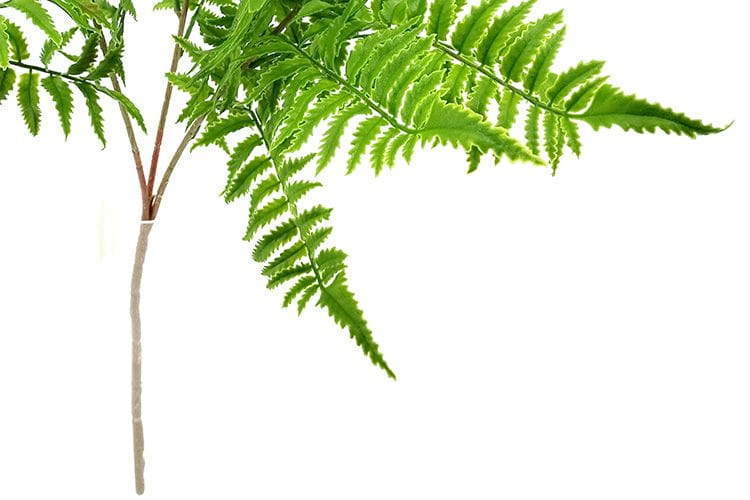 Single Branch 27 Leaves 80cm Artificial Pteris Fern