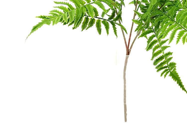 Single Branch 27 Leaves 80cm Artificial Pteris Fern