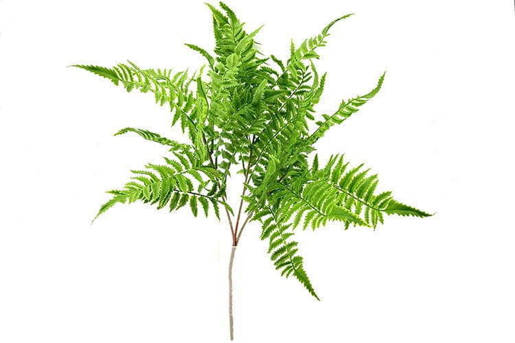 Single Branch 27 Leaves 80cm Artificial Pteris Fern