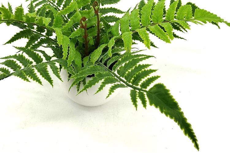 Single Branch 9 Leaves 28cm Artificial Pteris Bonsai Ferns